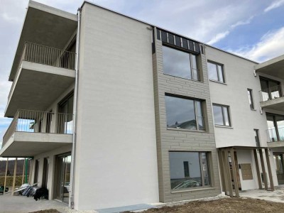 Hochwertige 3,5 Zimmer-Wohnung mit Terrasse und Garten