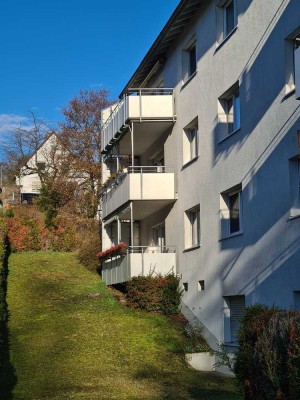Neu Renovierte 3-Zimmer-Wohnung mit Balkon in Wiesloch