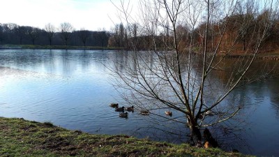 Kind- und hundefreundliche 3-Zimmer-Hochparterre-Wohnung mit Balkon und EBK