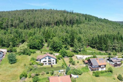 SCHWARZWALD PUR - EINE DER SCHÖNSTEN LAGEN