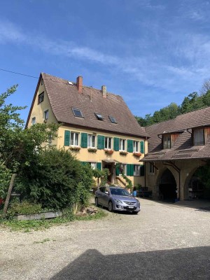 Grosse 3-Zimmerwohnung mit Garten