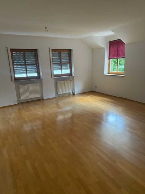 Lichtdurchflutetes 1 Zimmer Apartment in Regensburg