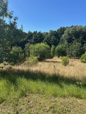 HIER LEBEN SIE RUHIG IM GRÜNEN AM STADTRAND UND SIND SCHNELL IN DER STADT! TEL. 01714863595