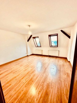 Frisch renovierte 2-Raum-Wohnung mit Einbauküche in Plauen