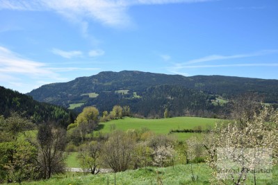 Natur pur! Großes Feriendomizil in Ruhelage