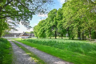 Historisches Reetdachanwesen mit vier Wohneinheiten in Nordfriesland!