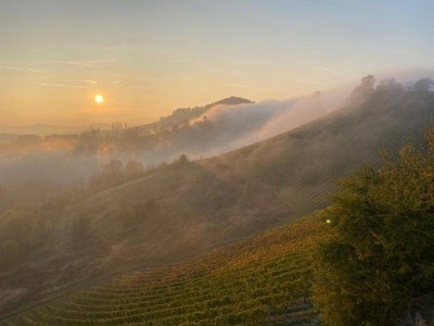 Charmantes Ferienrefugium an der südsteirischen Weinstraße