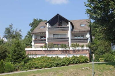 Geräumige, modernisierte 1-Zimmer-Wohnung zum Kauf in Winterberg