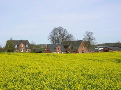 2 ZW auf dem Bauernhof in Honigsee / Kiel