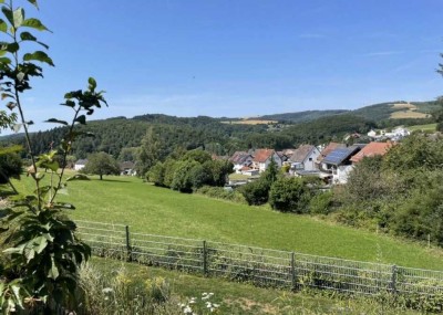 Geräumiges Mehrfamilienhaus mit exklusivem Panorama-Blick in Hirschhorn/Pfalz