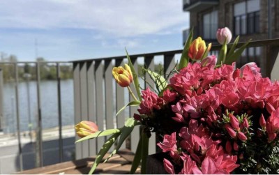 Luxuriöse 4-Zimmer Wohnung mit 2 Balkone (Wasserblick Rhein) im 2. OG in Mainz-Am Zollhafen Südmole