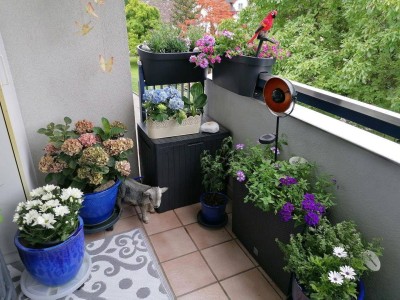 Charmante 5-Zimmer-Wohnung mit Garage im Zentrum von Hard