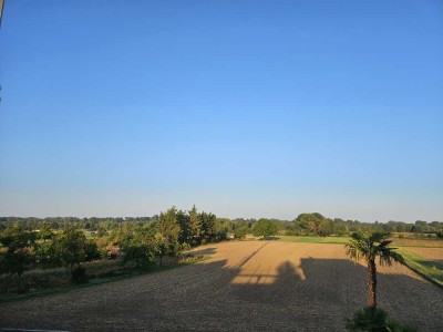 Neubau einer DHH am Feldrand zum Kauf in Altlußheim