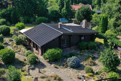 Bleckede Walmsburg: Blockhaus mit schönem großen Garten