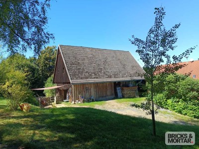 Paradies für Naturfreunde: Scheune auf 4000 m² Grundstück & Baugenehmigung für Wohnhaus + Nebengebäu