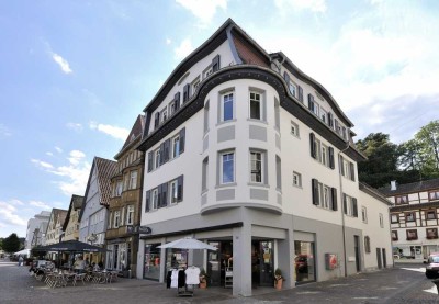 Luxuriöse, frisch sanierte 3-Z-WHG mit Schlossblick / 3. OG / FuZo Heidenheim