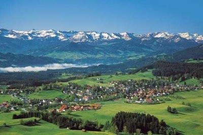 Möbliertes 1,5 Zimmer Apartment in der Scheidegger Rosenalm