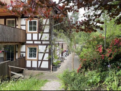 Sanierte Wohnung am Waldrand in historischem Fachwerkhaus