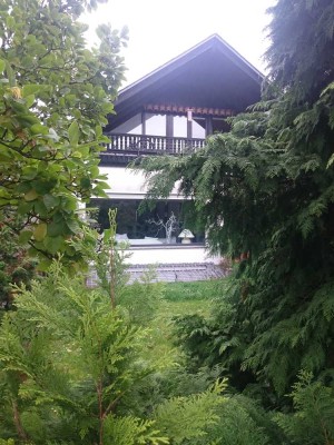 Provisionsfreie, gepflegte 2-Zimmer Dachgeschosswohnung in Hattersheim am Main