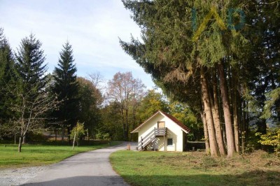 Landwirtschaftliches Anwesen mit großer Wiese, Mehrparteienhaus und vielem mehr