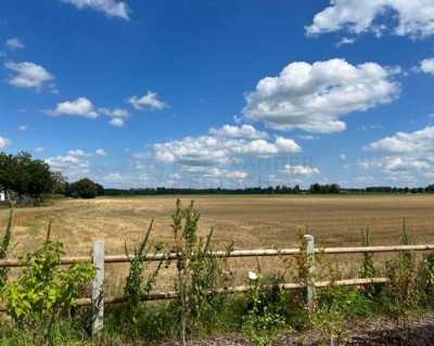 Doppelhaushälfte - Neubau in Otterfing - DHH1