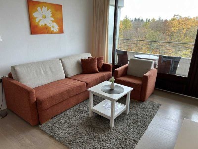 möbliertes 1-Zimmer-Appartement