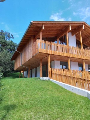 NEUBAU Erstbezug 2 Zimmer Penthouse - Wohnung mit Süd-Balkon in Architektenhaus.