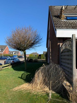 Ansprechendes freistehendes Haus (Erdgeschoss) mit 3,5 Zimmern in Stade-Schölisch (Bilder folgen)