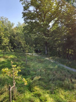 Traumhaus in bester Lage: Ruhige Wohnidylle mit zentraler Anbindung