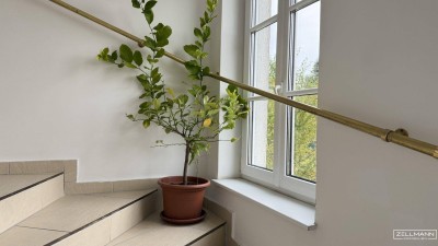 „Raum für Leben. Raum für Generationen. Raum für Beständigkeit.“ | ZELLMANN IMMOBILIEN
