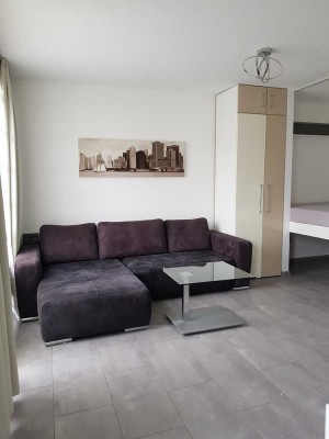 Modernes möbliertes Appartement zu vermieten