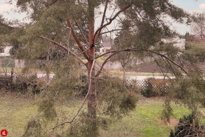 Geräumige 4-Zimmer-Wohnung mit Loggia in Trautmannsdorf – Nähe Badesee!