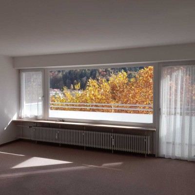 Charmante 2- Zimmerwohnung Südlage mit sonnigem Balkon