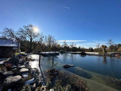 Luxus inmitten der Natur - Einzigartiger Dreikanthof mit Schwimmteich Naturgrundstück auf 17.000 QM - Provisionsfrei