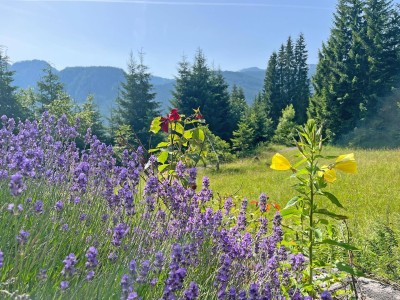 Idyllisches Chalet in Alleinlage mit großem Grundstück