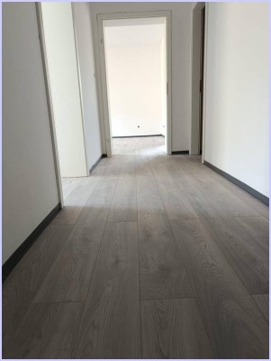 Erstbezug nach Sanierung saniert! 60m2, Graz, neue Küche, 1WZ, 1 Schlafzimmer, Loggia, TG Platz.