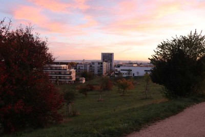 Zentrale 2-Zimmerwohnung in unmittelbarer Nähe zu Feld und Natur in Ludwigsburg-West