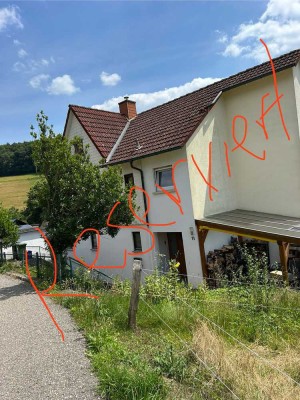 Einfamilienhaus im Ortskern mit Kaminofen (Einbauküche,Garten,Garage/Stellpl. und Terrasse/2 Balkon)