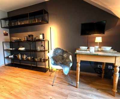 modern möblierte 1-Zimmer-DG-Wohnung in München Riem