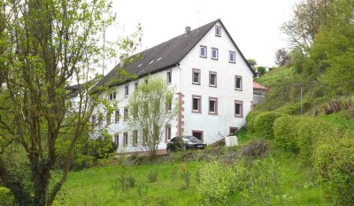 Wohnen für die ganze Familie - in historischer Mühle mit eigenem Wald