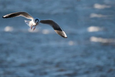 Das Familienleben in ruhiger Lage nahe der Ostsee genießen!