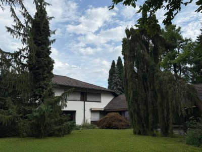 Ein Anwesen mit Charme und Schwimmbad im Lustenauer Rheindorf