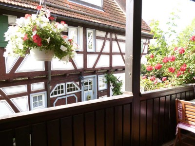 2-Zimmer-Wohnung mit Einbauküche und schönem Balkon in Aichwald