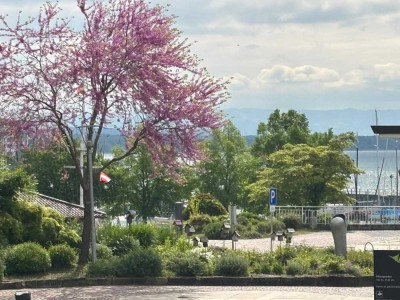 Leben am Yachthafen!
Luxuriöse 4,5 Zimmer-Wohnung am See in Friedrichshafen