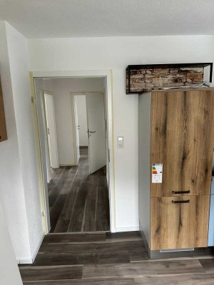 Neu sanierte 3 Zimmer Wohnung mit Balkon und Garten