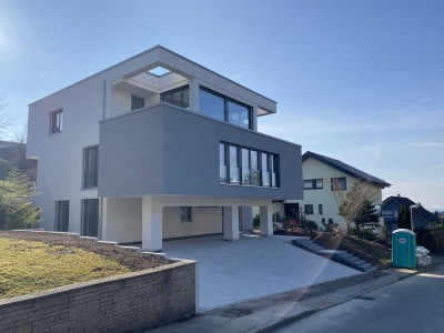 Exklusive 3-Raum-Terrassenwohnung mit Penthouse Charme und Weitblick in die Pfalz