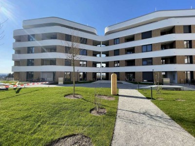 Leben im Penthouse!  3-Zimmer-Wohnung mit Einbauküche & Dachterrasse