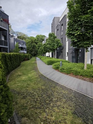 Neuwertige Penthouse-Wohnung mit vier Zimmern sowie Terrasse und EBK in Braunschweig