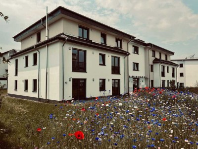 Feines Penthouse in Bornheim Roisdorf