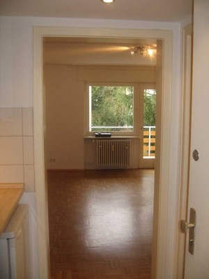 Vollständig renovierte Wohnung mit einem Zimmer und Balkon in Baden-Baden